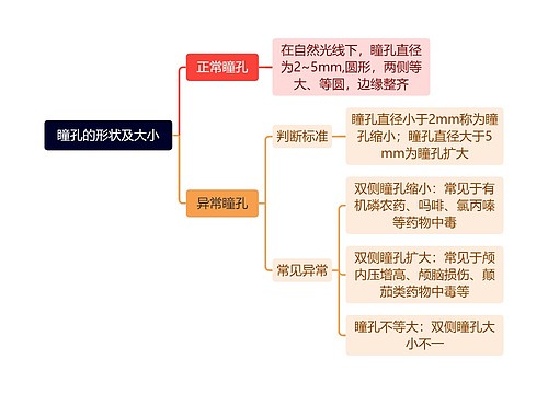 瞳孔的形状及大小思维导图