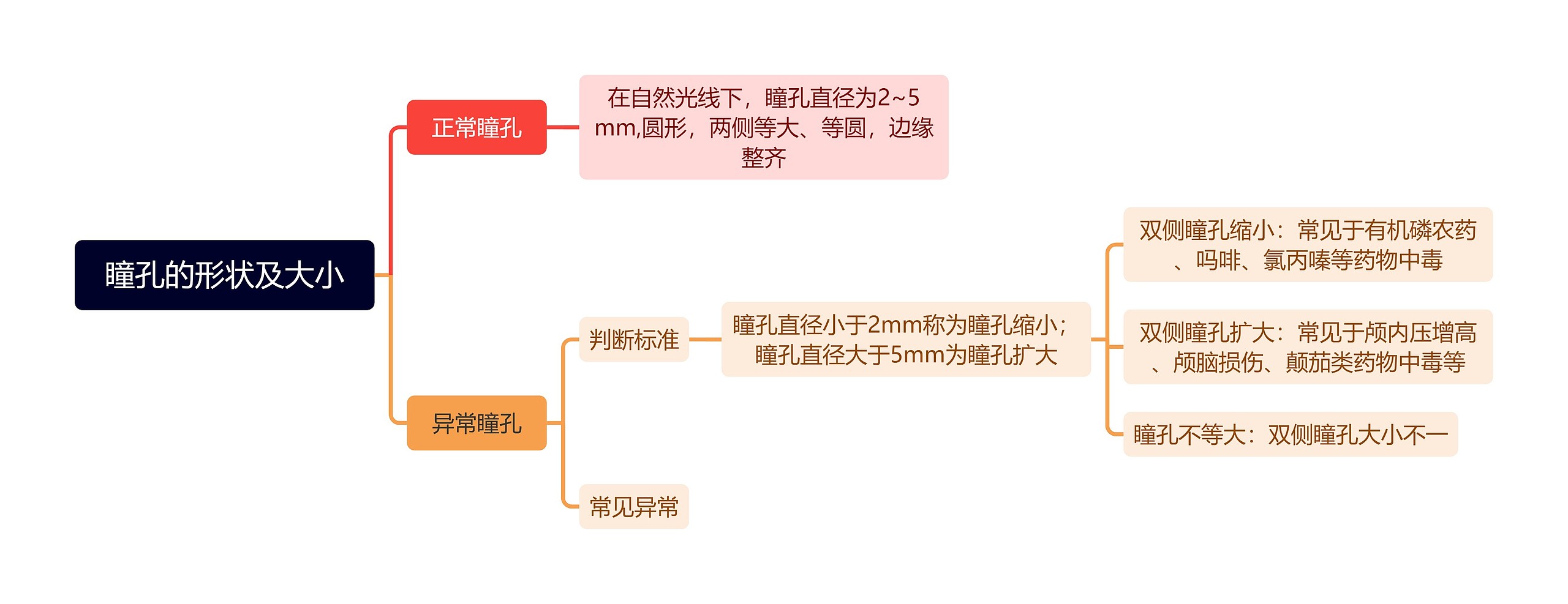 瞳孔的形状及大小