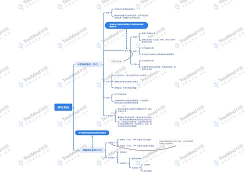 神经系统介绍思维导图