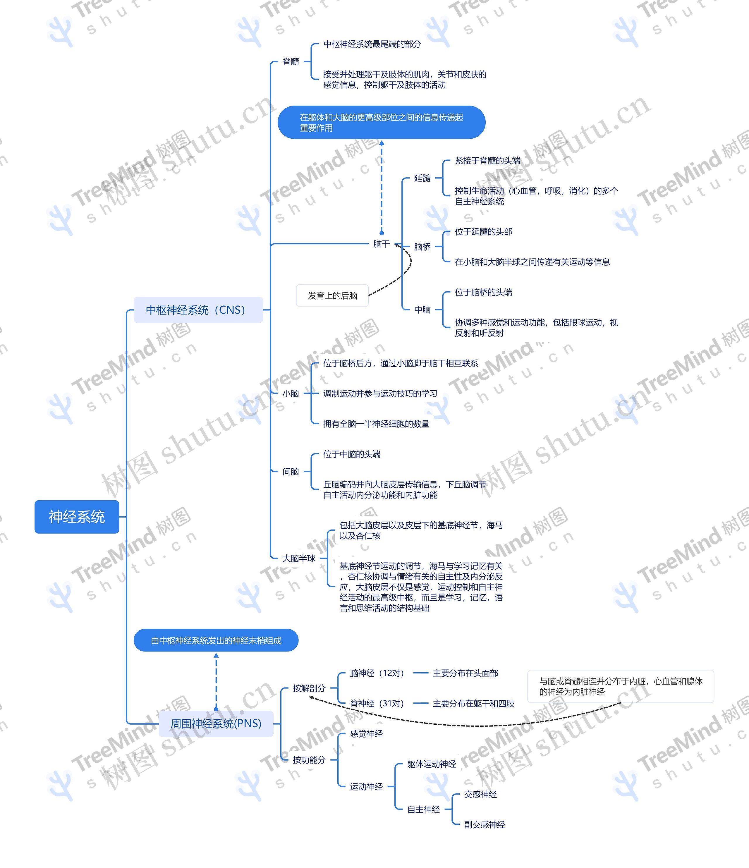 神经系统介绍思维导图