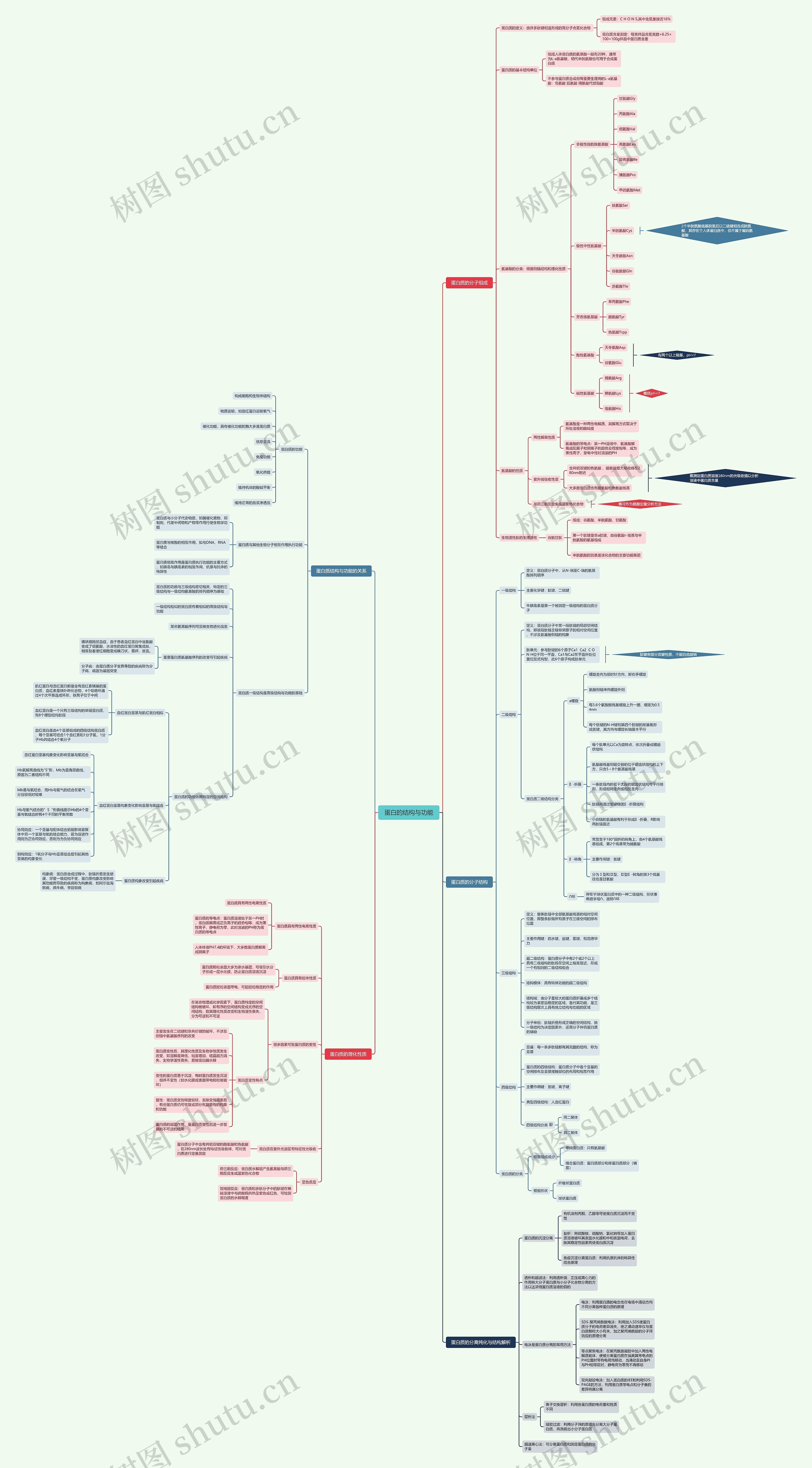 蛋白的结构与功能思维导图
