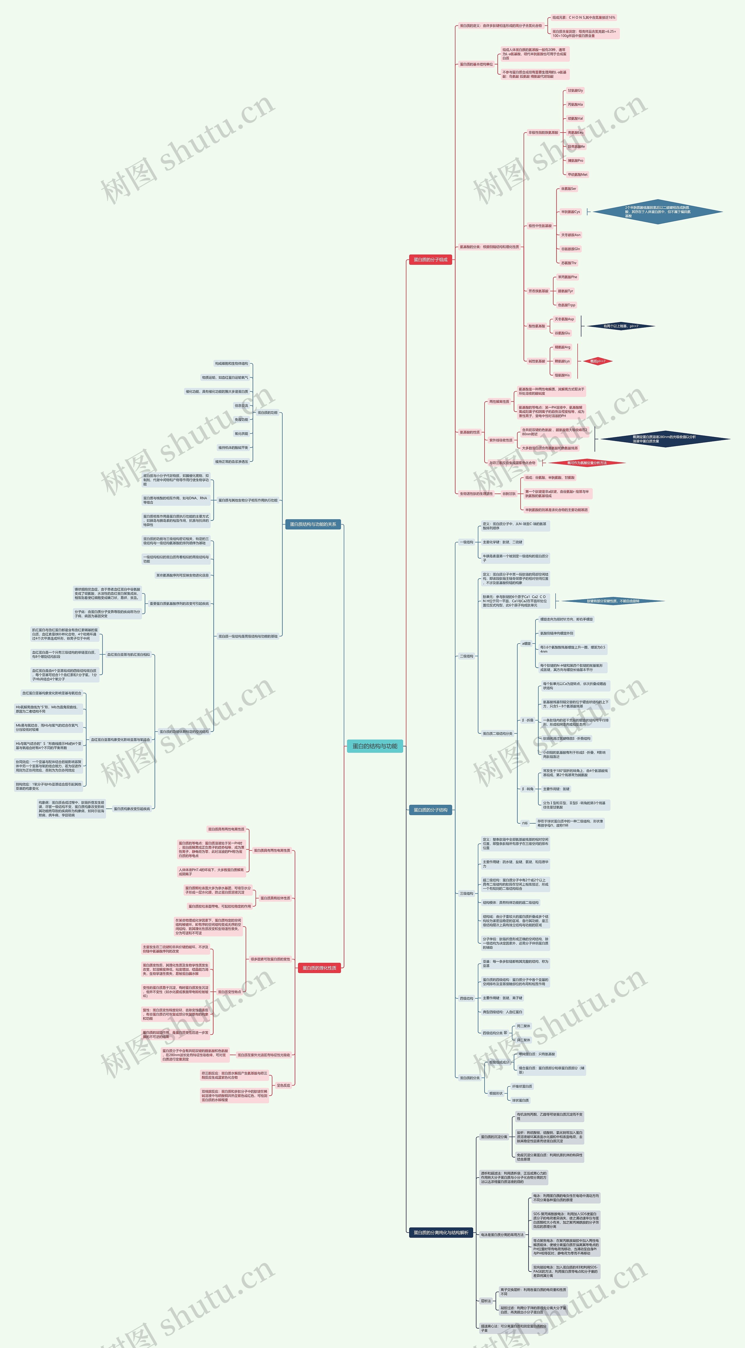 蛋白的结构与功能思维导图高清图 蛋白的结构与功能思维导图
