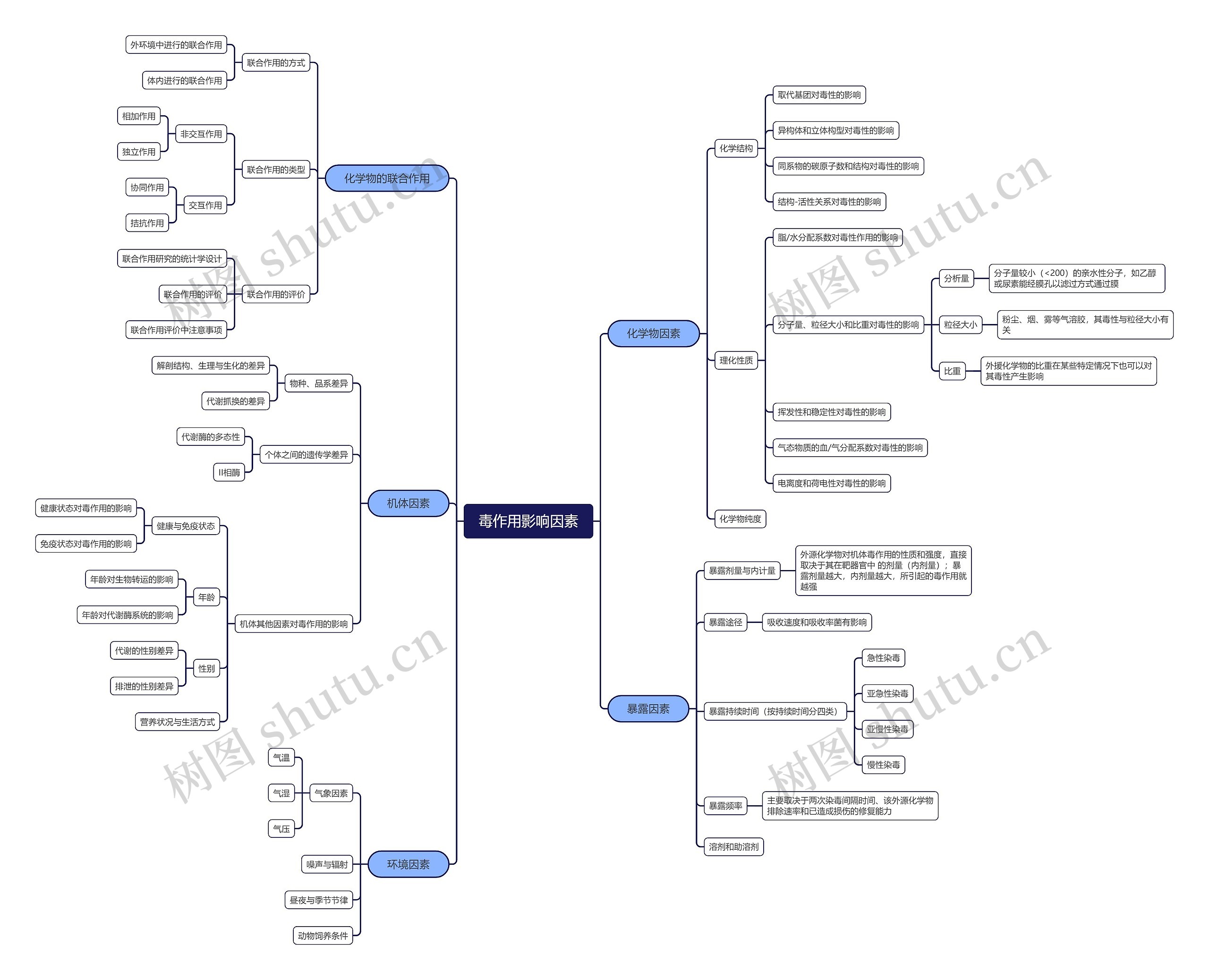 ﻿毒作用影响因素思维导图