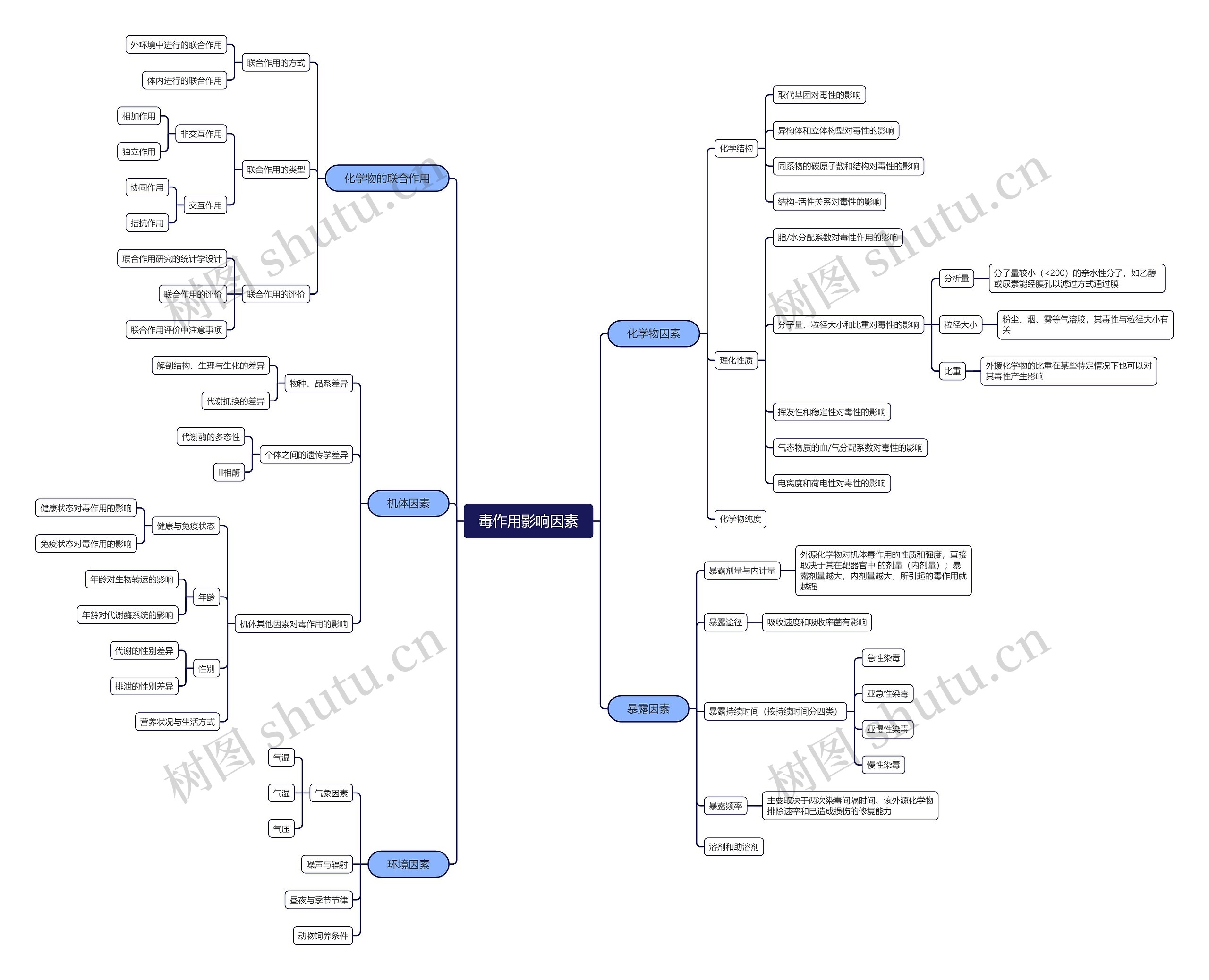 毒作用影响因素思维导图高清图 毒作用影响因素思维导图