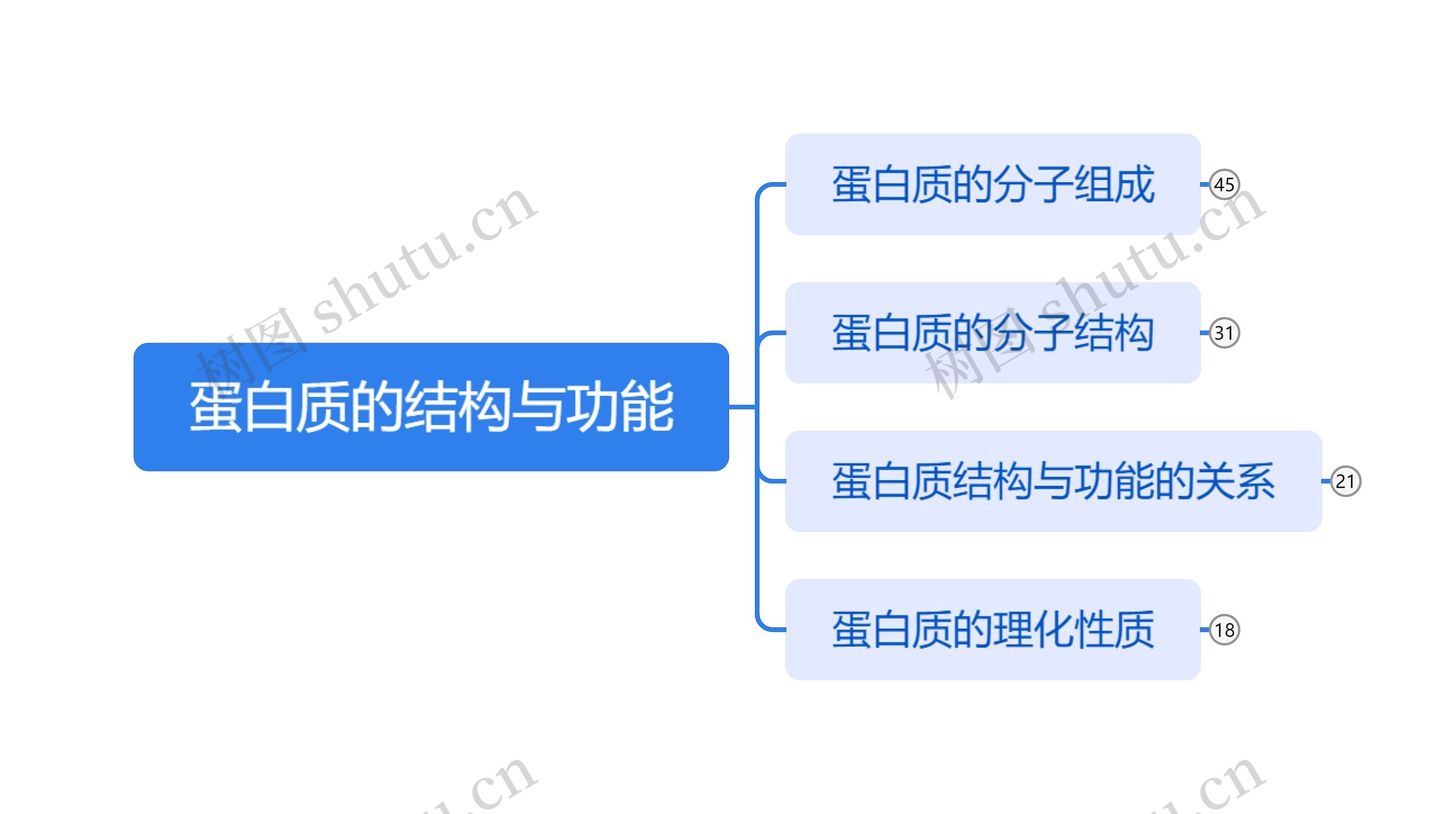 蛋白质的结构与功能