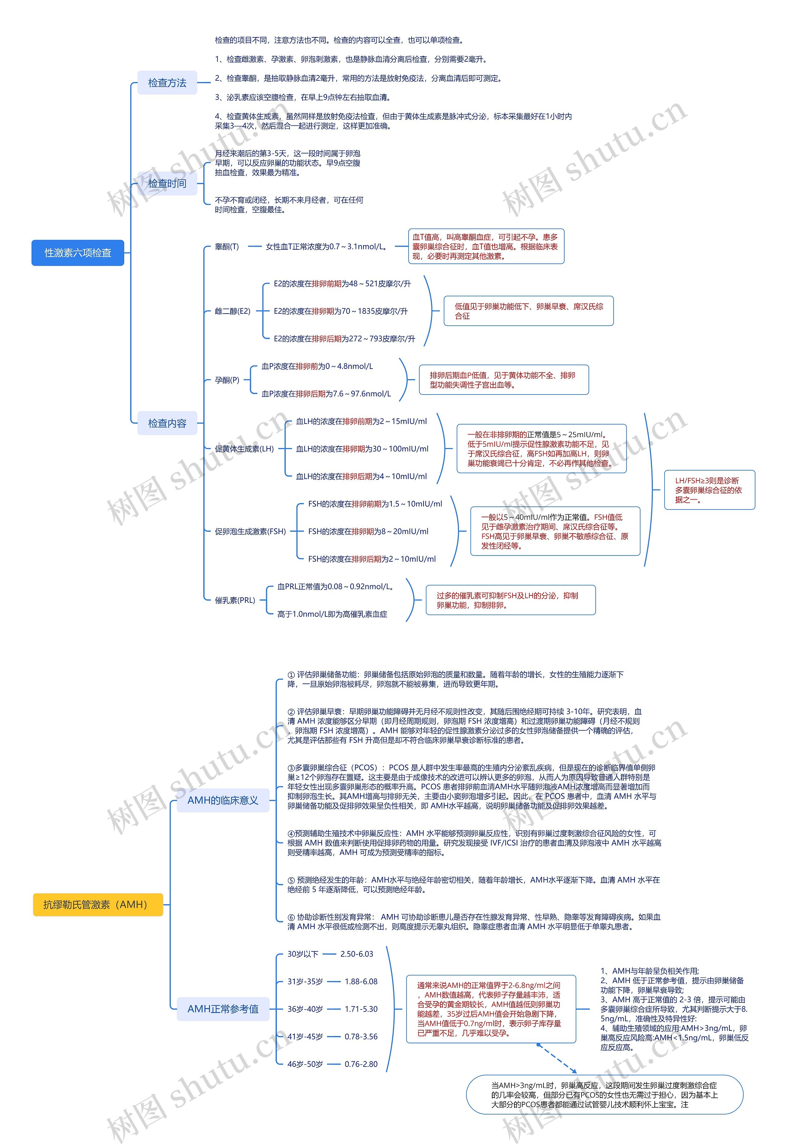 性激素六项检查思维导图