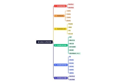 蛋白质知识点思维导图