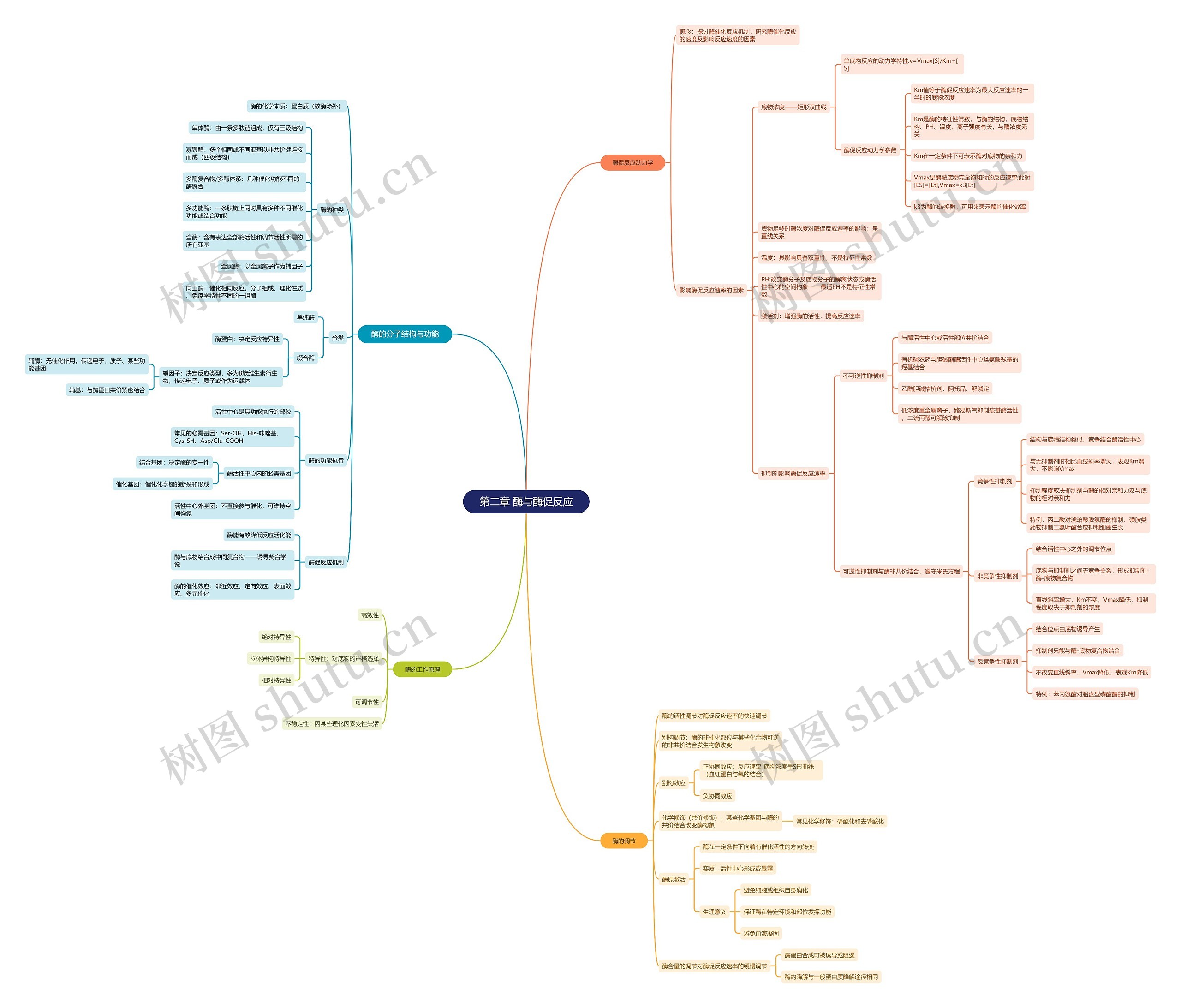 第二章 酶与酶促反应思维导图高清图 第二章 酶与酶促反应思维导图