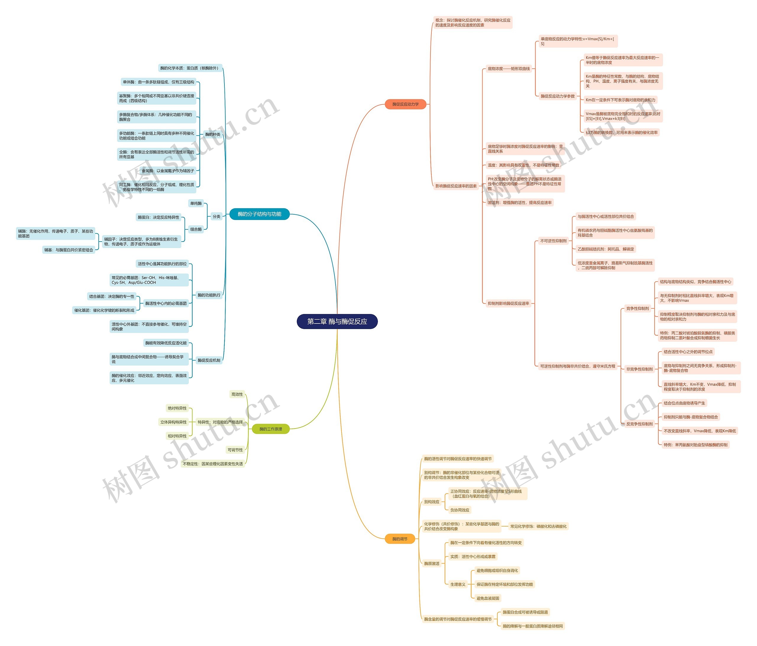 ﻿第二章 酶与酶促反应思维导图