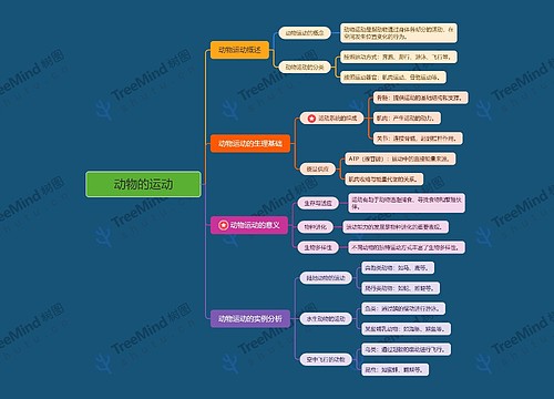 动物的运动思维导图