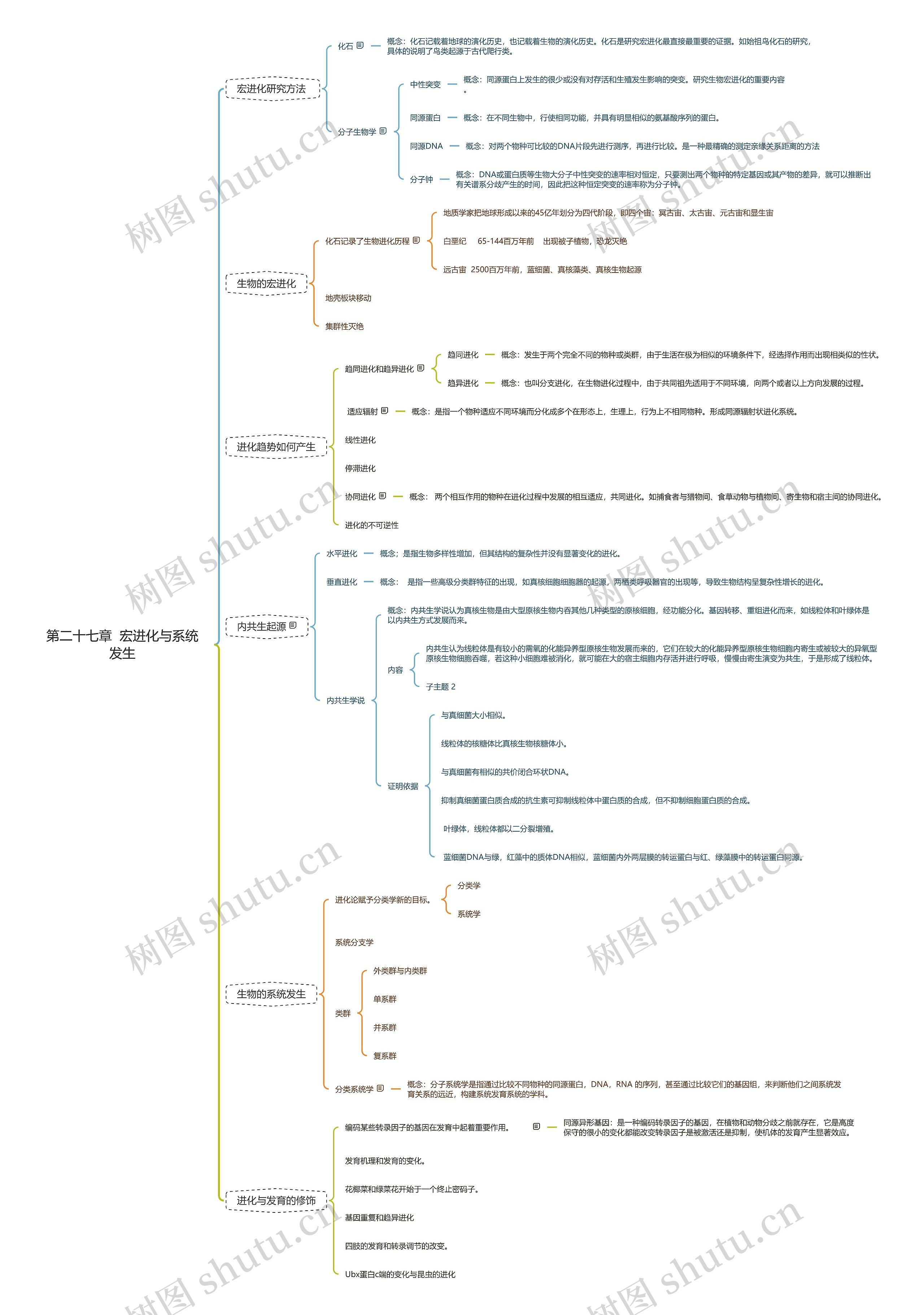第二十七章 宏进化与系统发生思维导图高清图 第二十七章 宏进化与系统发生思维导图