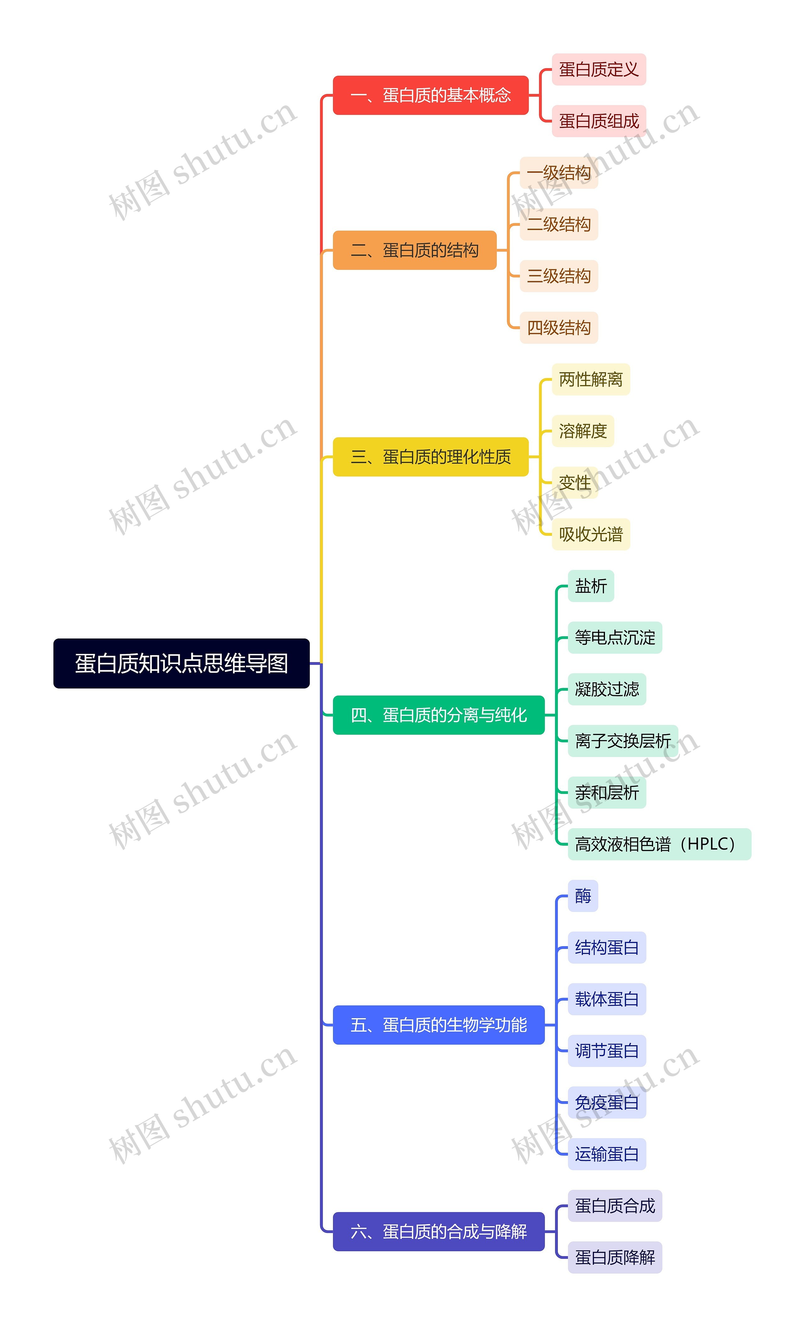 蛋白质知识点思维导图