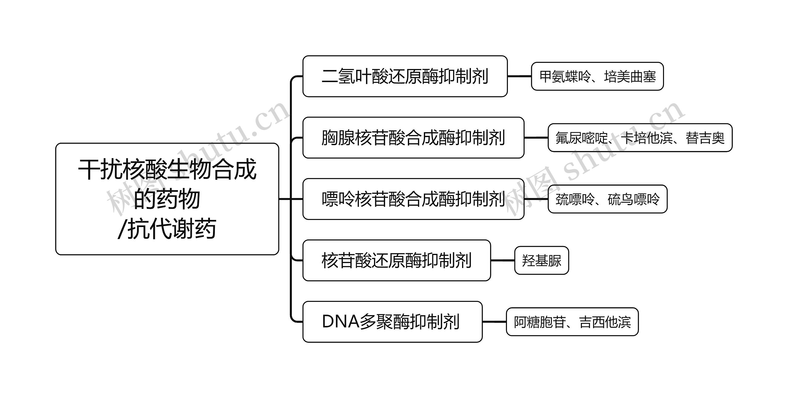 ﻿干扰核酸生物合成的药物/抗代谢药思维导图