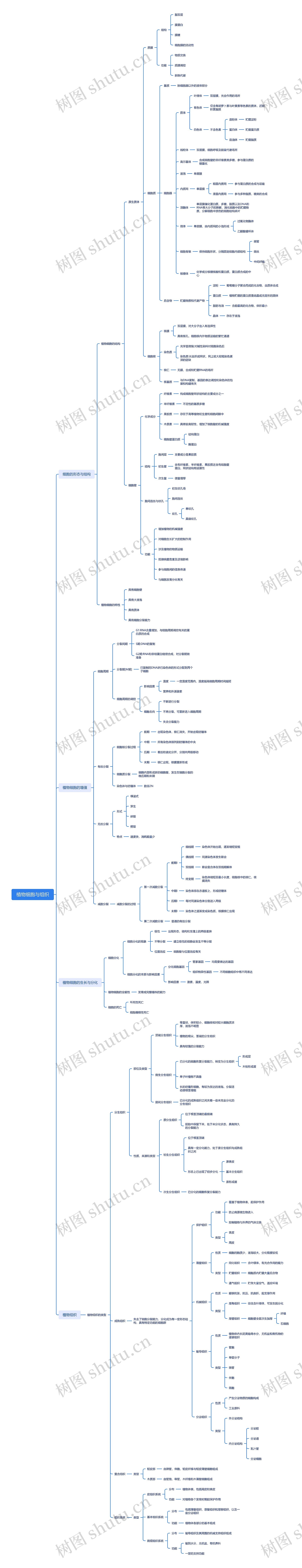 植物细胞与组织思维导图