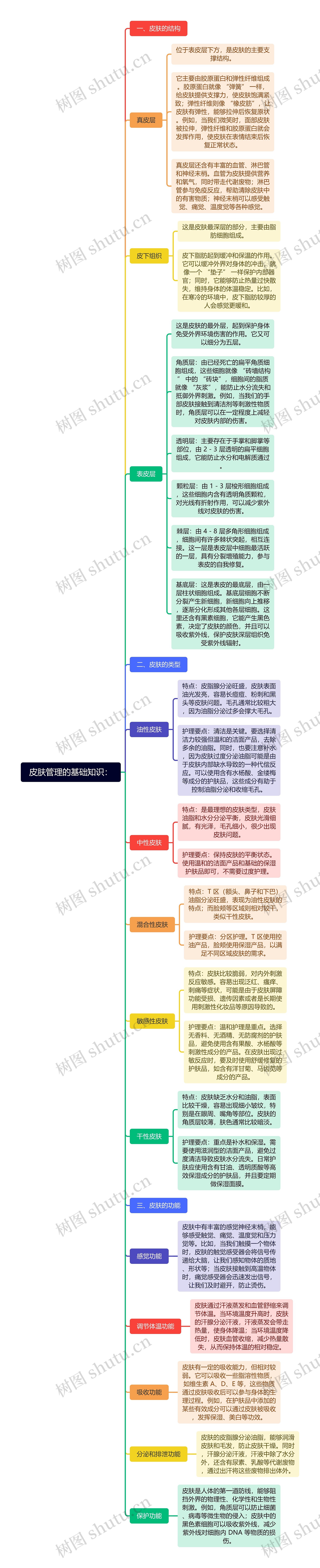 皮肤管理的基础知识