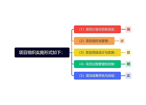 项目组织实施形式如下：