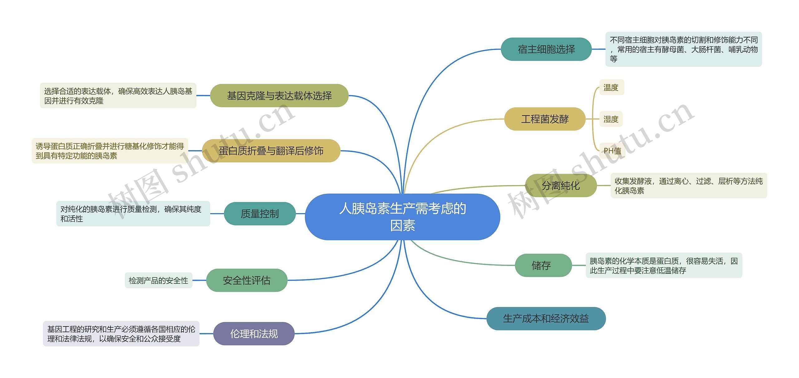 人胰岛素生产需考虑的因素