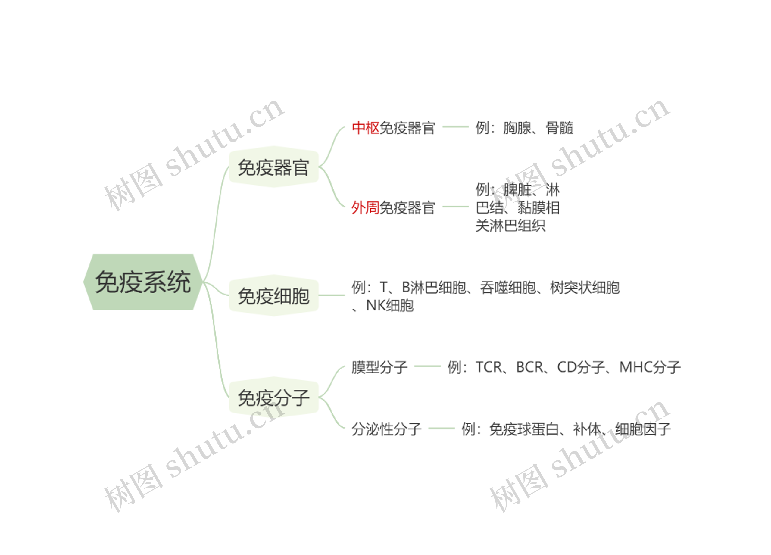 免疫系统