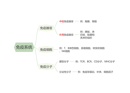 免疫系统