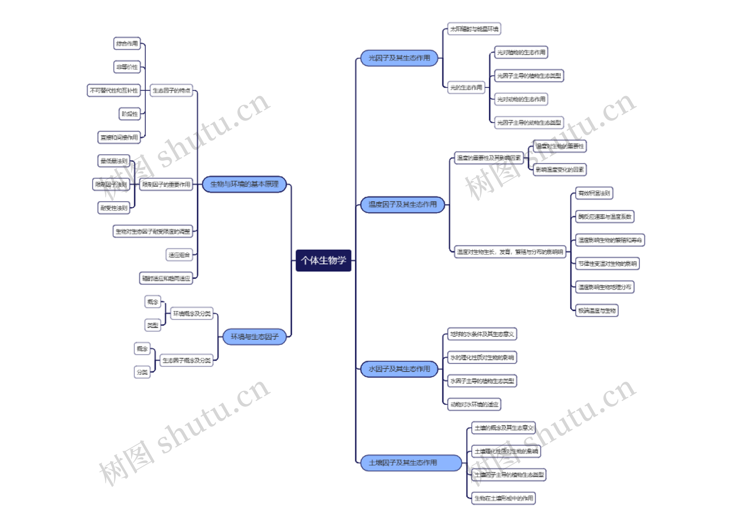 个体生物学思维导图