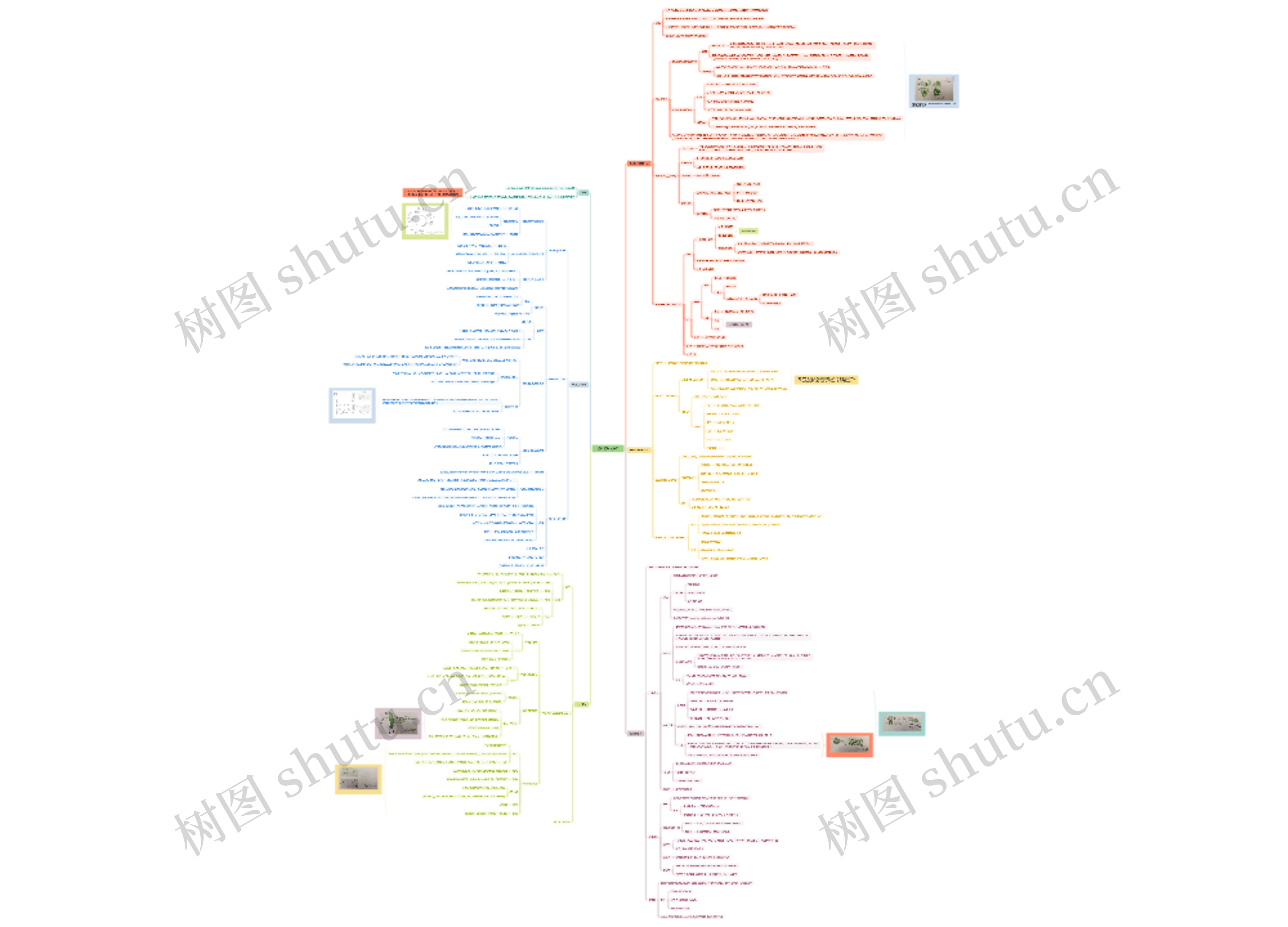 植物的生长生理脑图思维导图