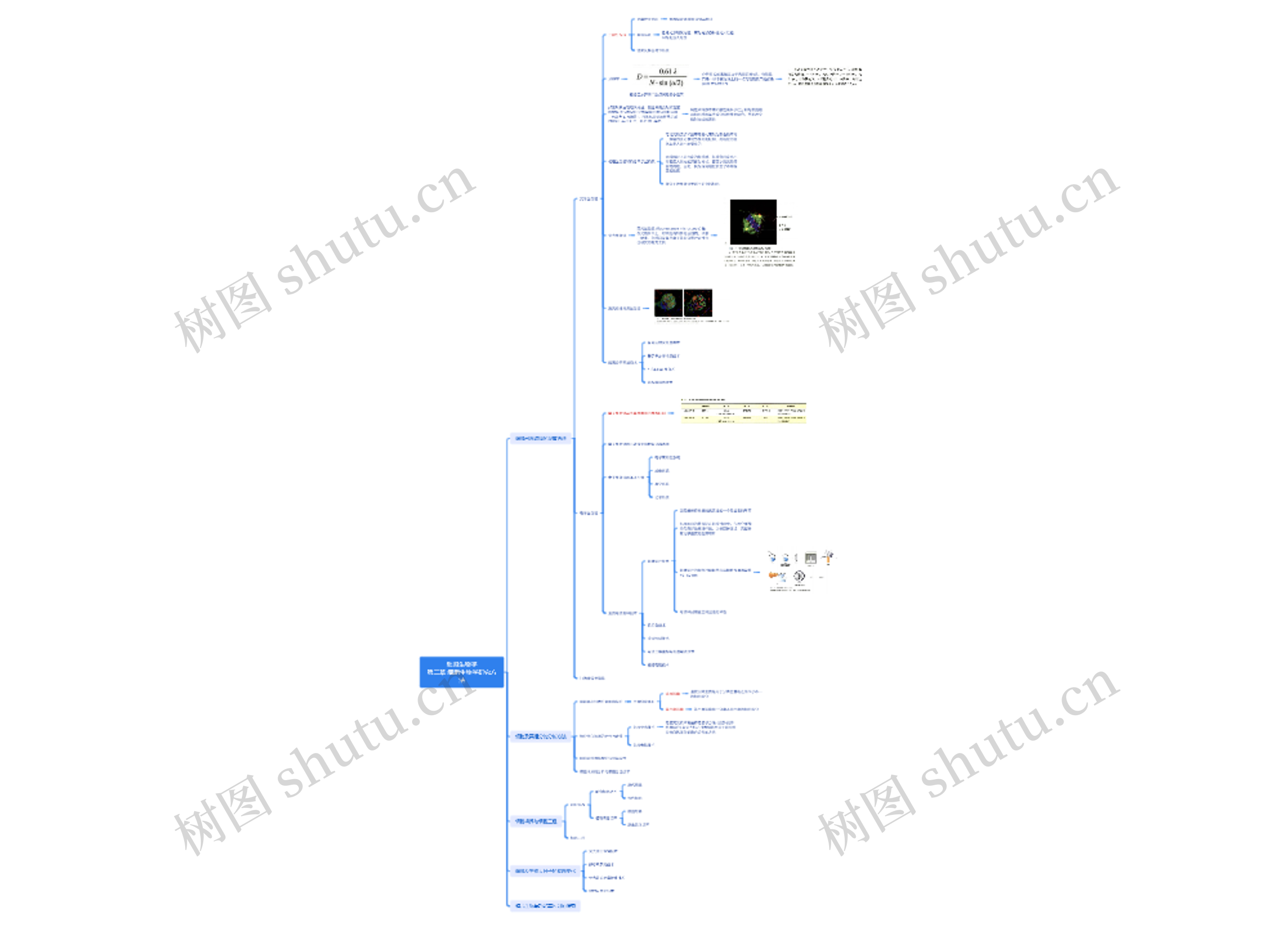 细胞生物学研究方法脑图