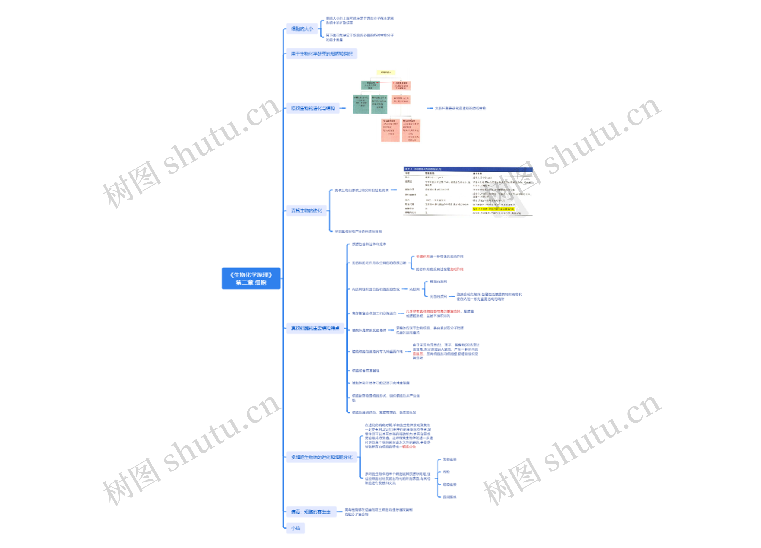 《生物化学原理》第二章细胞脑图思维导图