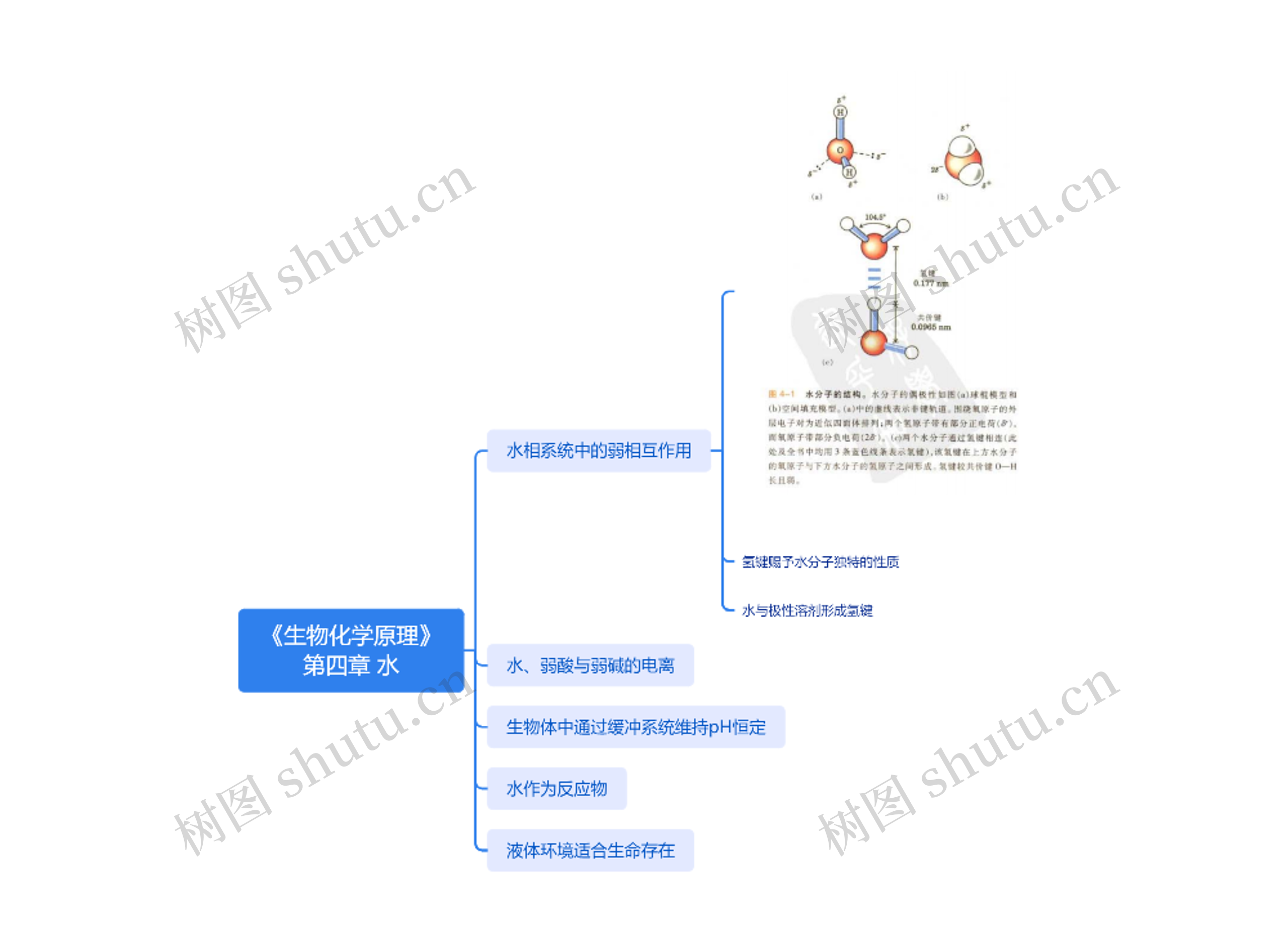 《生物化学原理》第四章思维导图