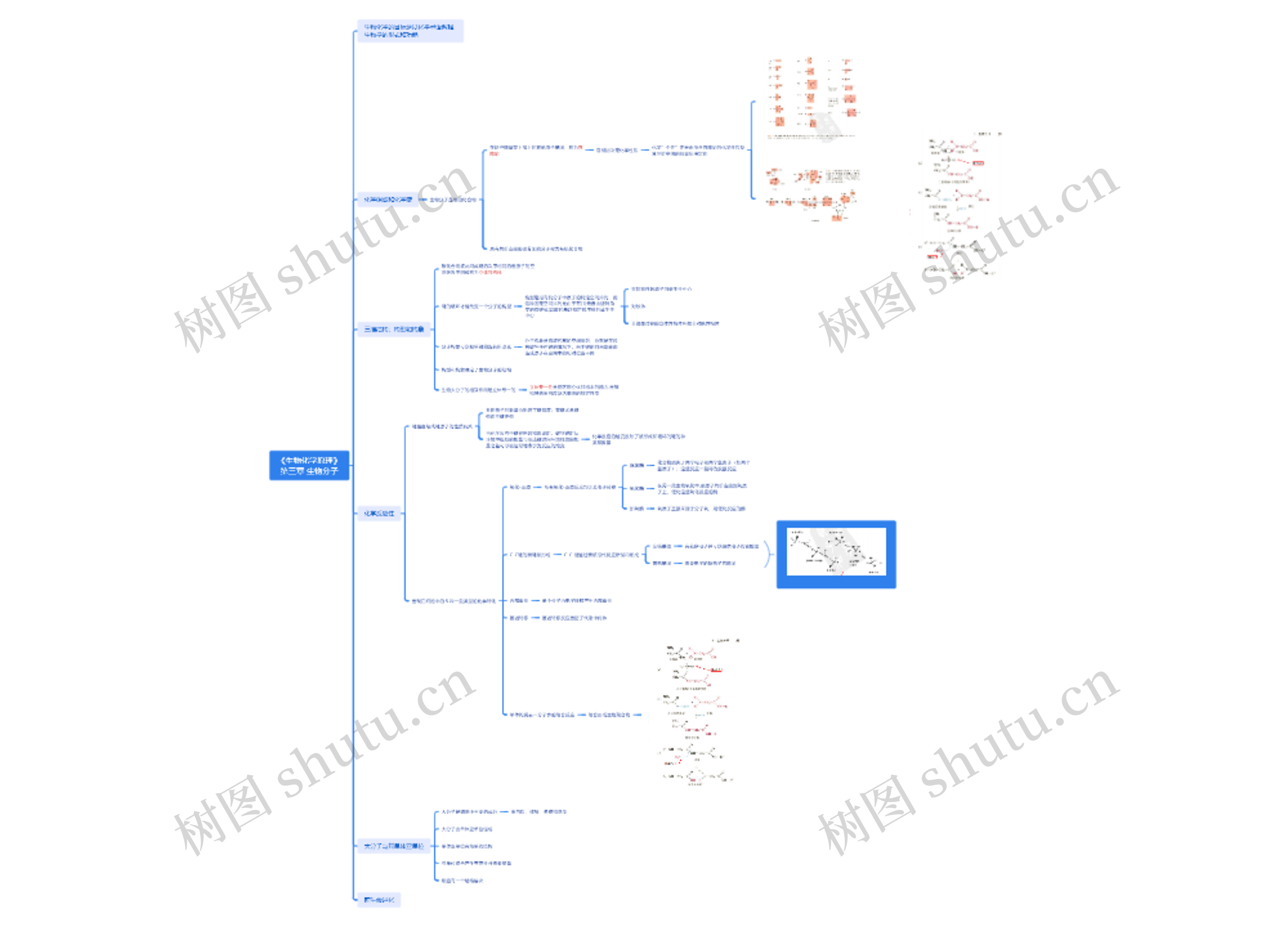 《生物化学原理》第三章生物分子脑图