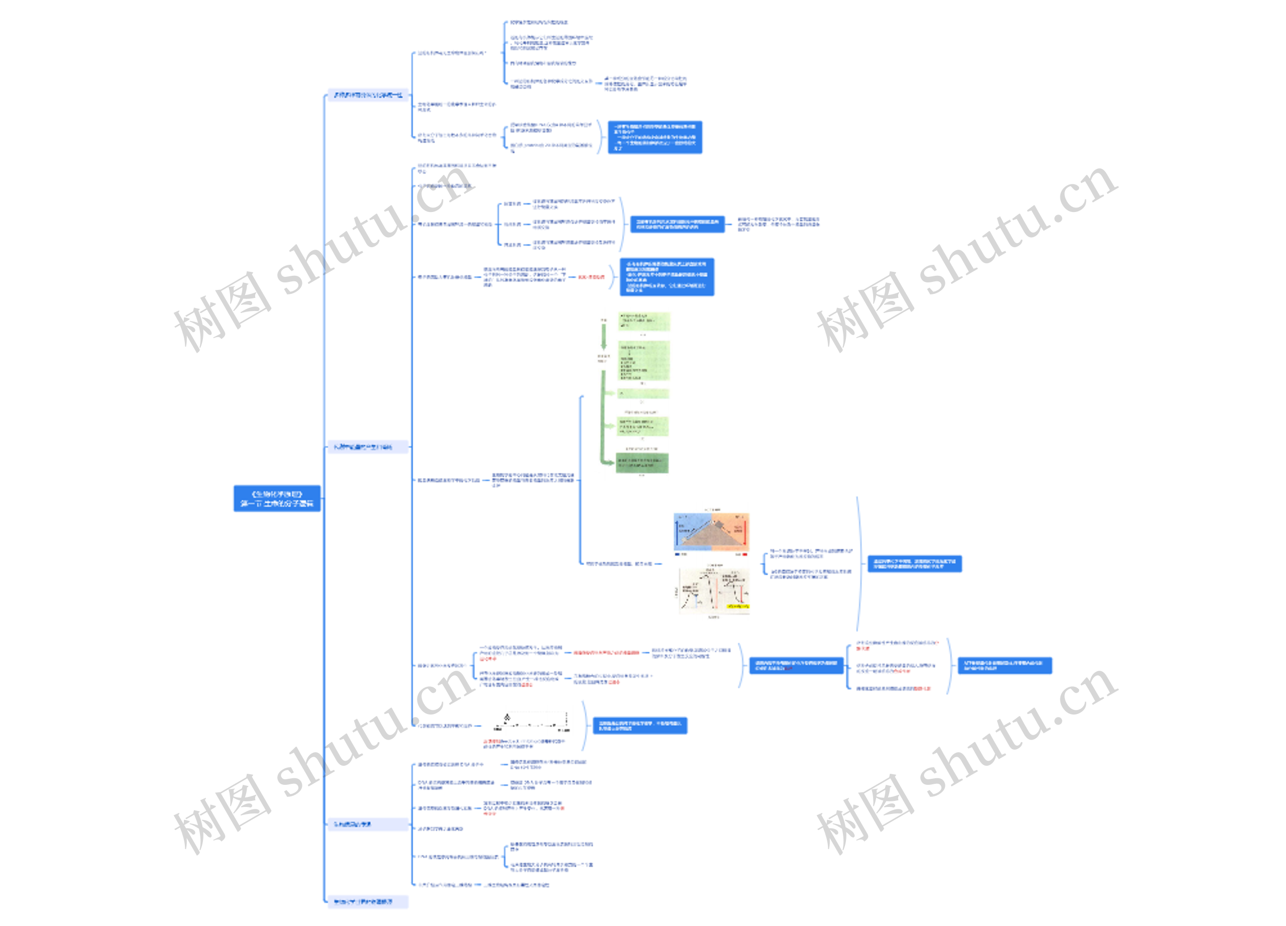 《生物化学原理》第一节生命的分子逻辑思维导图