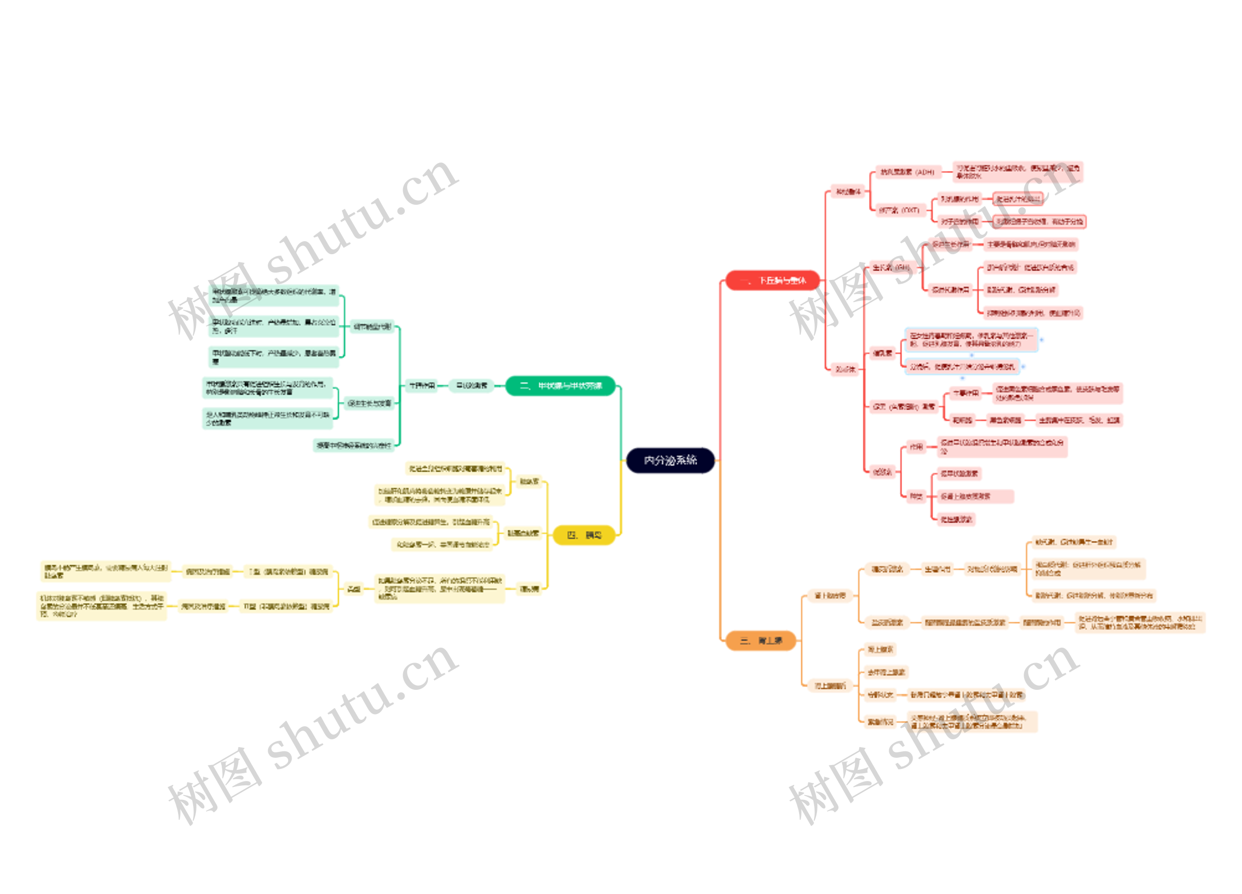 内分泌系统思维脑图