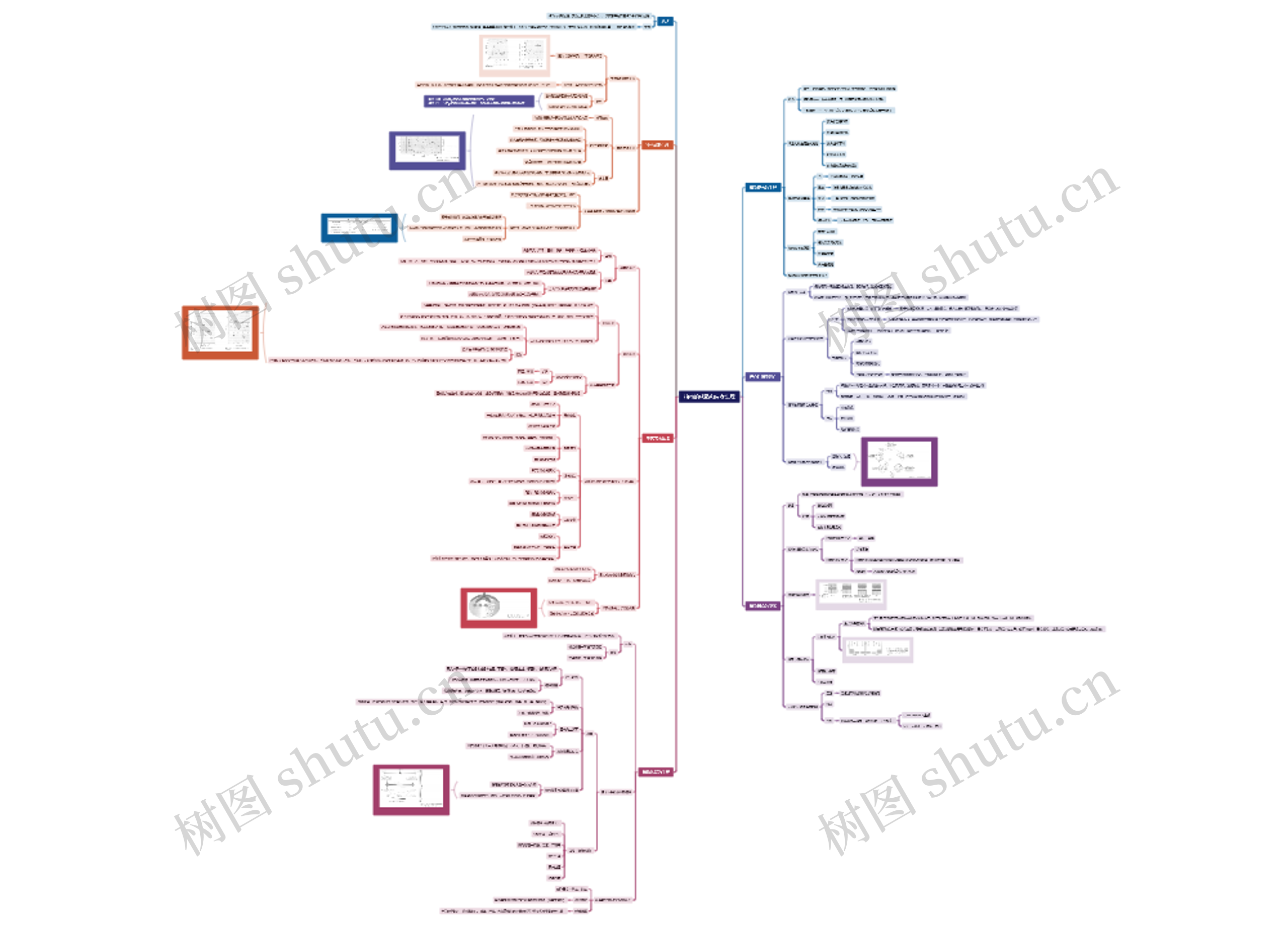 植物的成熟和衰老生理脑图思维导图高清图 植物的成熟和衰老生理脑图思维导图