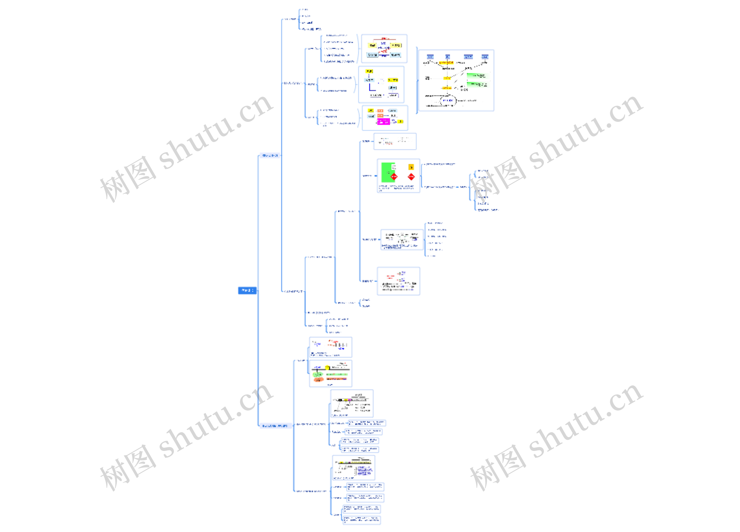 代谢调节思维导图高清图 代谢调节思维导图