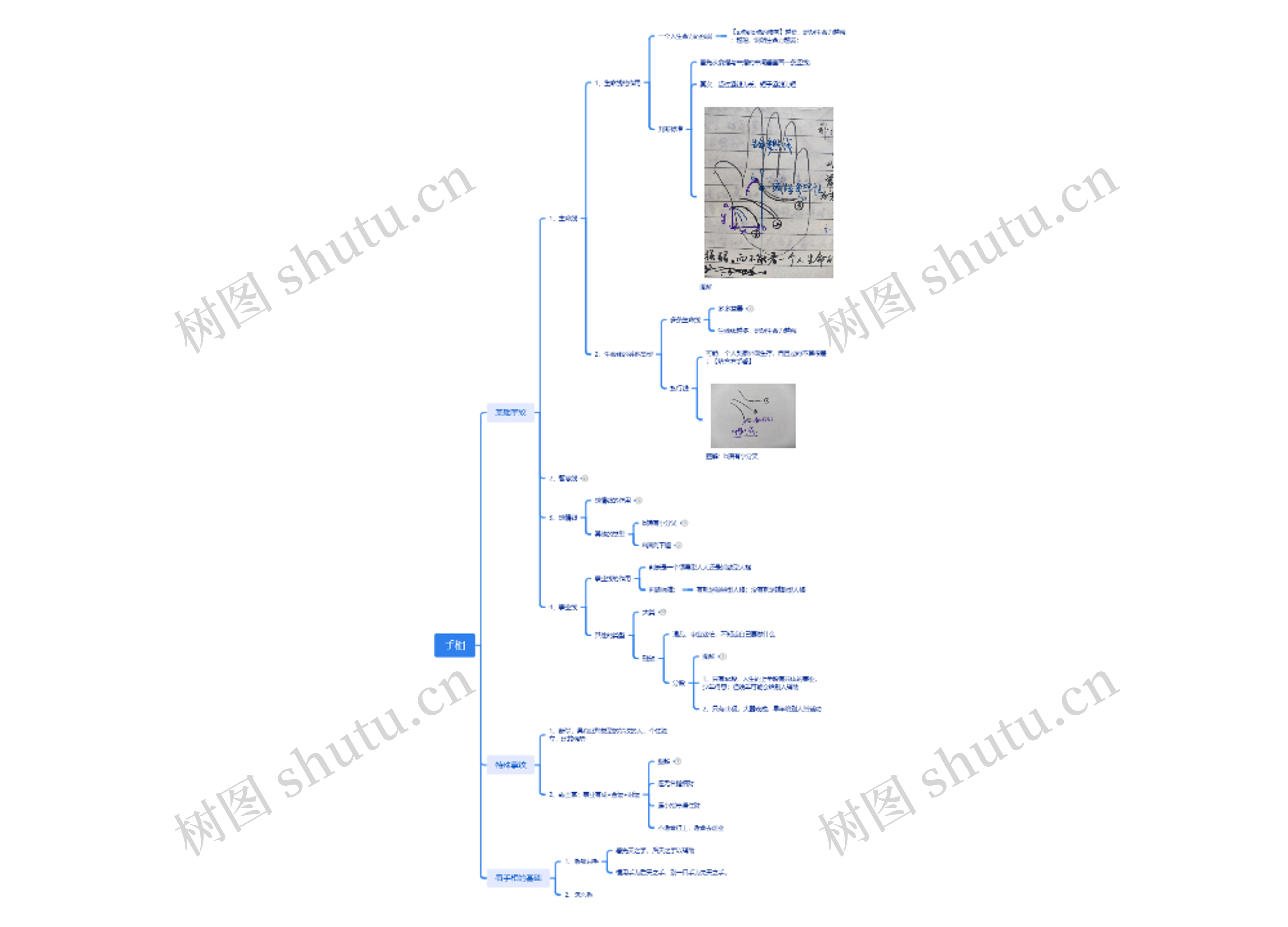 ﻿手相介绍思维导图