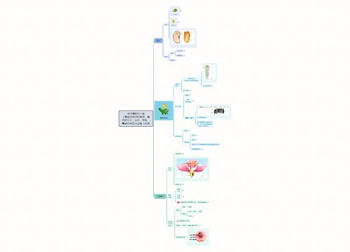 ﻿被子植物的一生（要经历种子的萌发，植株的生长、发育、繁殖、衰老和死亡的过程）88页思维导图