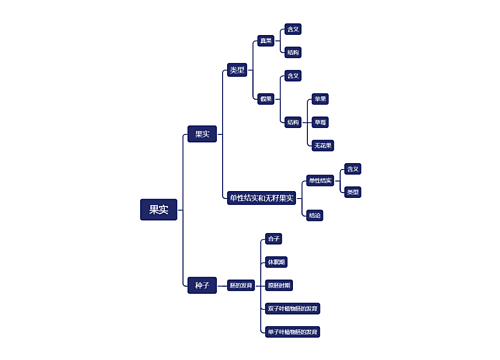 ﻿果实介绍思维脑图