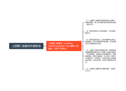 上颌第二前磨牙外部形态