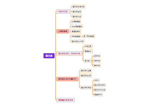 蛋白质思维脑图思维导图