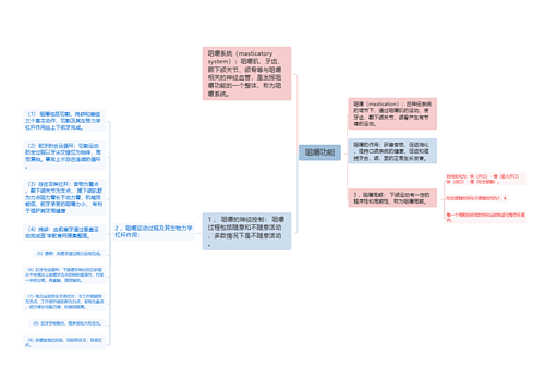 咀嚼功能思维导图