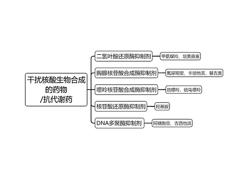 ﻿干扰核酸生物合成的药物/抗代谢药