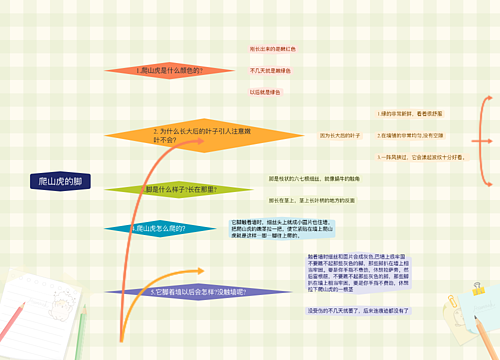 爬山虎的脚思维导图