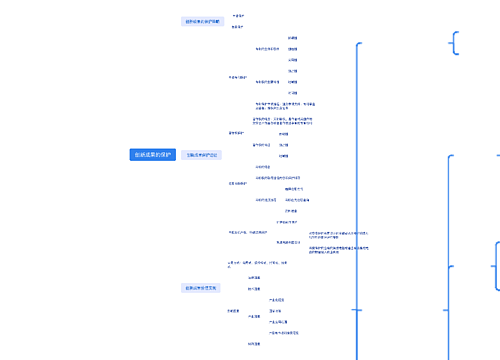 创新成果的保护思维导图