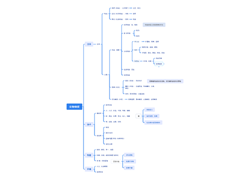 实物维度思维导图