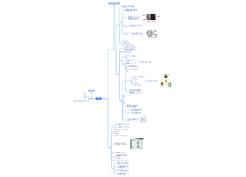 ﻿植物细胞思维导图