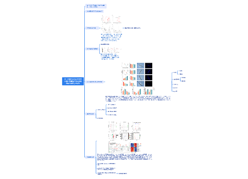 基于代谢组学分析的海带多糖在秀丽隐杆线虫中的抗氧化和抗衰老活性思维导图