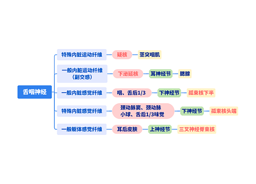 ﻿舌咽神经
