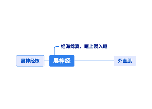 展神经核