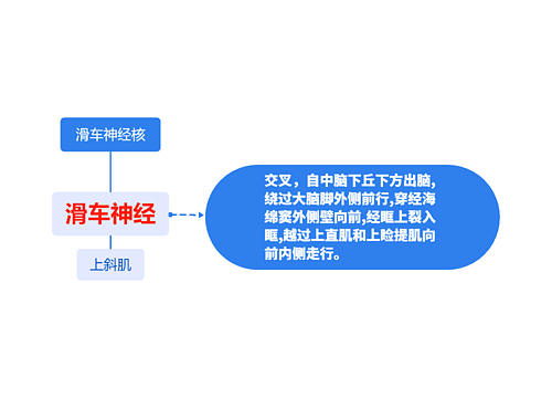 滑车神经核