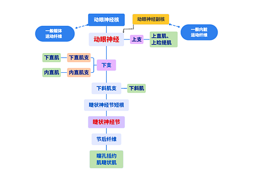 动眼神经核