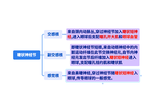 睫状神经节
